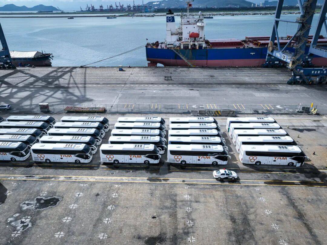 Fatal Taboos for Shipping E-commerce Goods to the Middle East